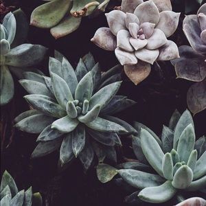 Meet your Posher, Madi